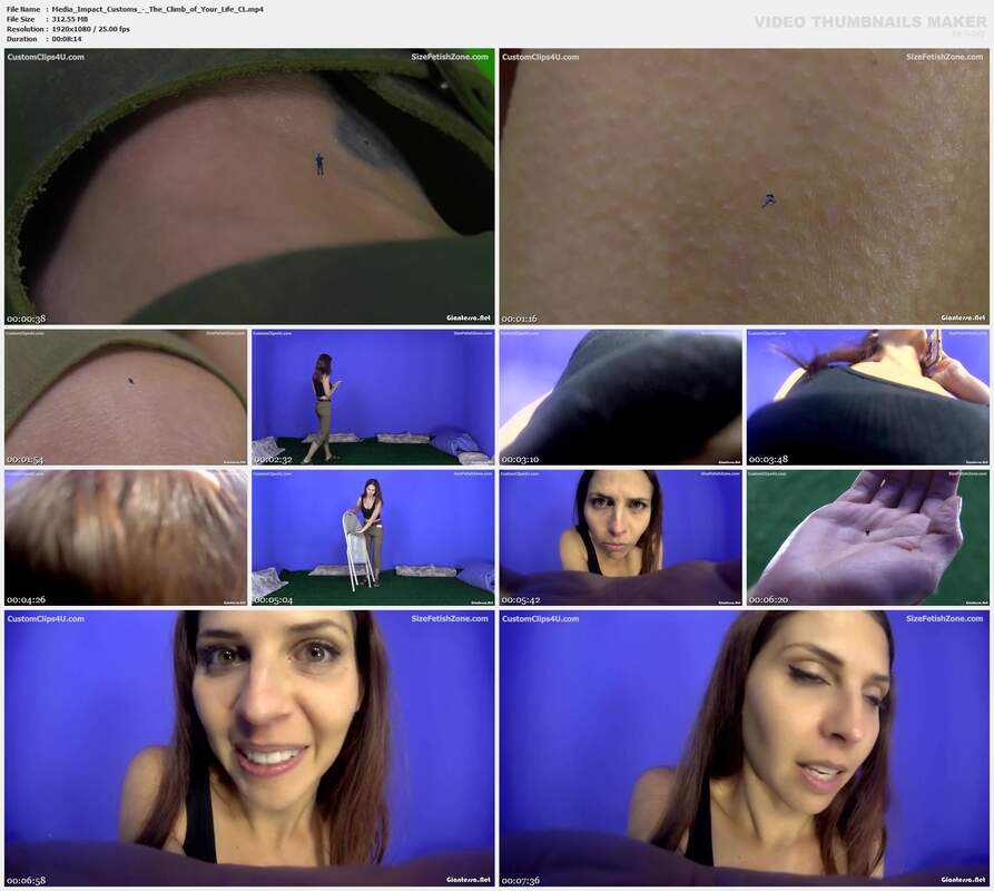 Media Impact Customs - The Climb of Your Life CL