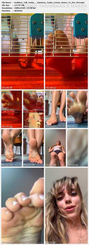 Goddess Tall Tasha - Giantess Tasha Comes Home To Her Pet