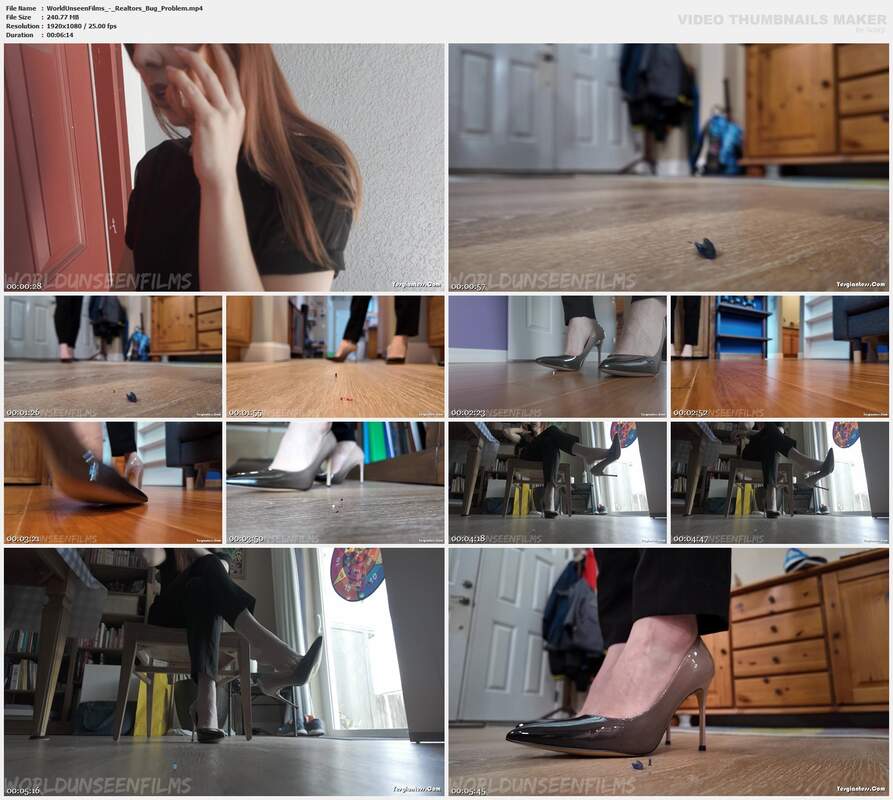 WorldUnseenFilms - Realtors Bug Problem