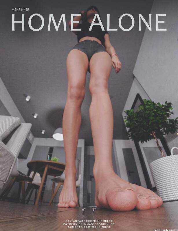 Home Alone By MasterShrinker