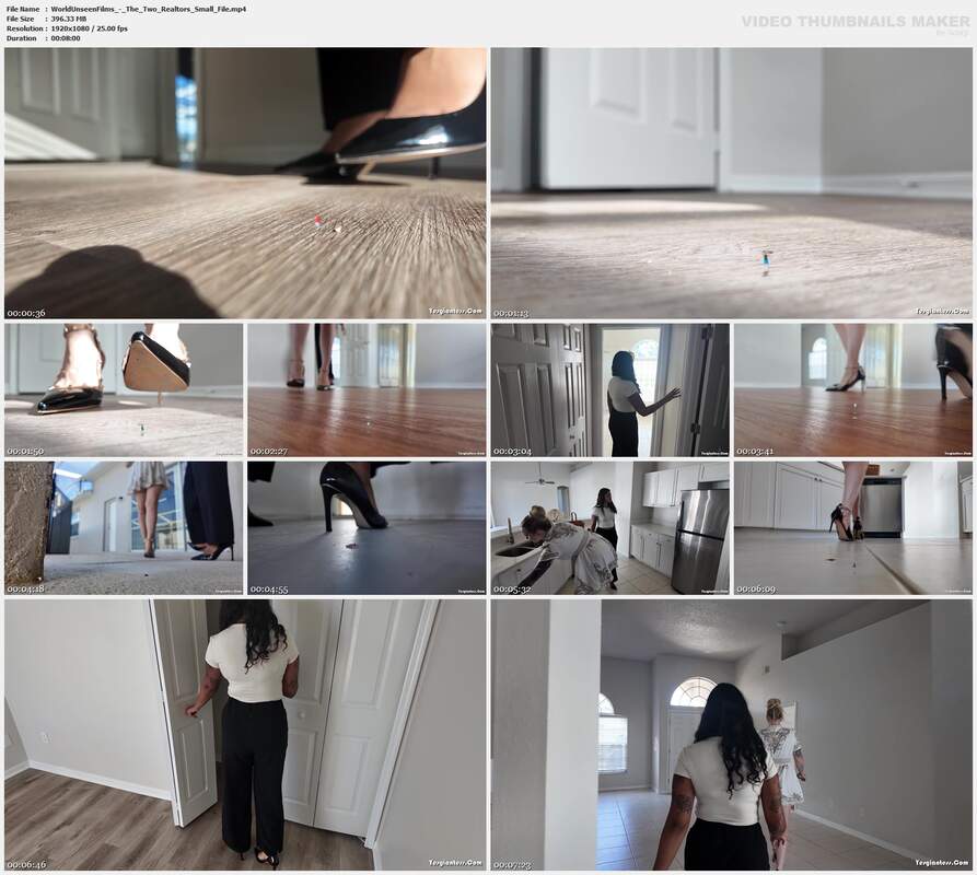 WorldUnseenFilms - The Two Realtors Small File